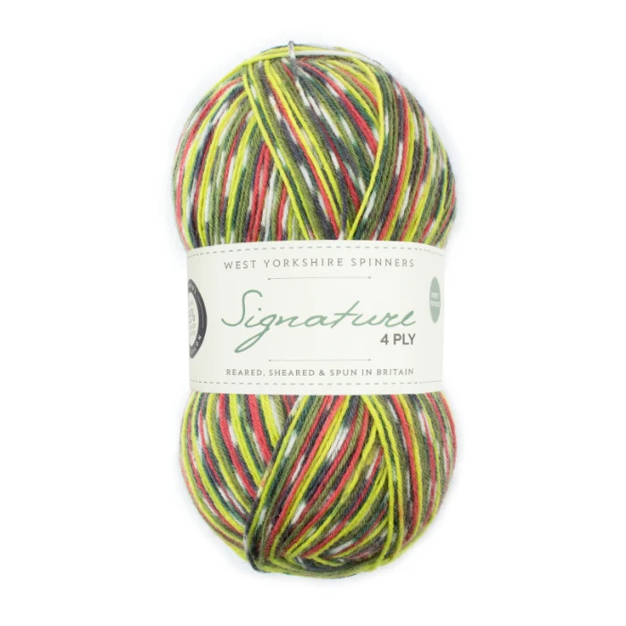 West Yorkshire Spinners Signature 4 Ply Country Birds - Image 12
