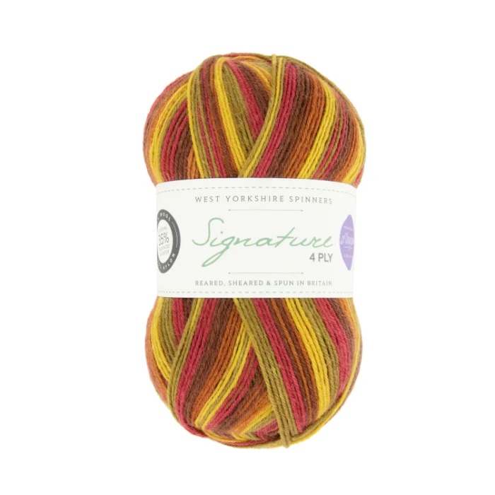 West Yorkshire Spinners Signature 4 Ply Winwick Mum - Image 6