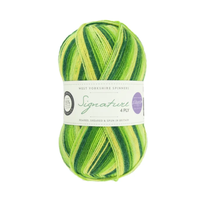 West Yorkshire Spinners Signature 4 Ply Winwick Mum - Image 8